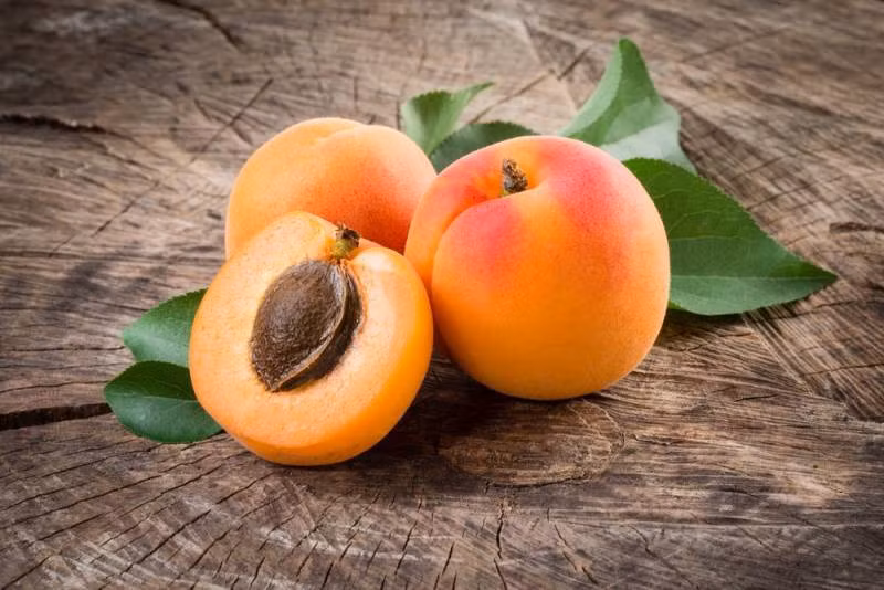 Trái cây có chứa chất độc tiếp theo là mơ. Mơ có vị chua, mang tính acid, khi chín hẳn có thêm vị ngọt. Tương tự như anh đào, hạt của quả mơ chính là phần độc hại, chứa các chất độc như Cyanide, Cyanogens glycoside và Amygdaline. Các hợp chất độc hại này có thể khiến nạn nhân nhức đầu dữ dội, nôn mửa, mất ngủ, lo lắng, khát nước liên tục, dễ mệt mỏi, đau khớp và cơ bắp. (Nguồn Invorma)