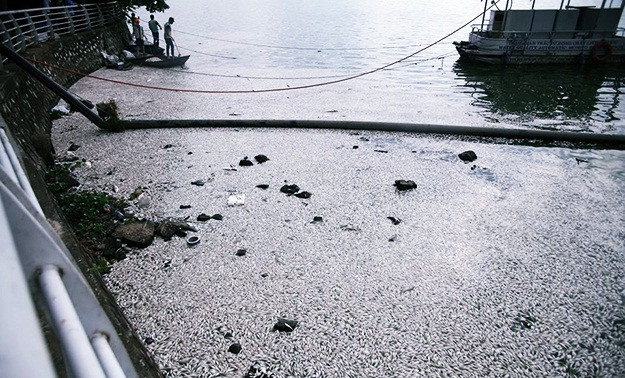 Khung khiep ca chet trang ho Tay: Do thoi tiet bat thuong?