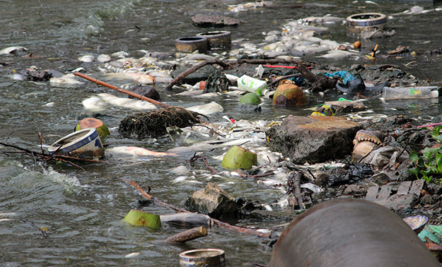 Điều khủng khiếp hơn là cảnh tượng xác cá nằm xen lẫn với đủ thức rác thải mà những người dân thiếu ý thức vứt xuống hồ Tây.