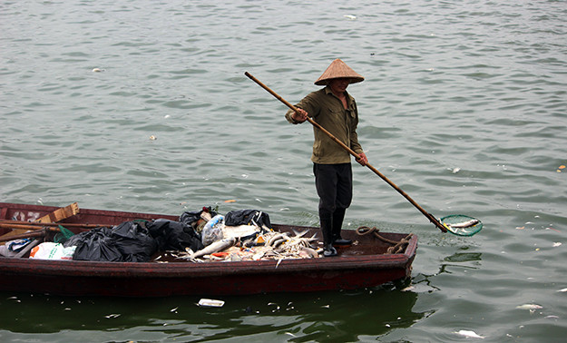 ... tuy nhiên đến sáng ngày hôm nay lượng cá chết vớt vẫn chưa hết.