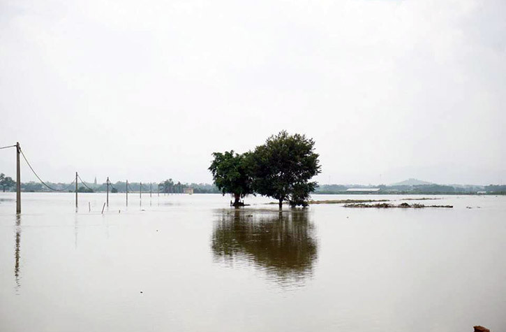 Đến sáng và chiều nay, tất cả lực lượng từ công an, quân đội đến dân quân tự vệ vẫn trực 24/24 tại khu vực đê sông Bùi qua địa bàn huyện, tại những vị trí xung yếu.