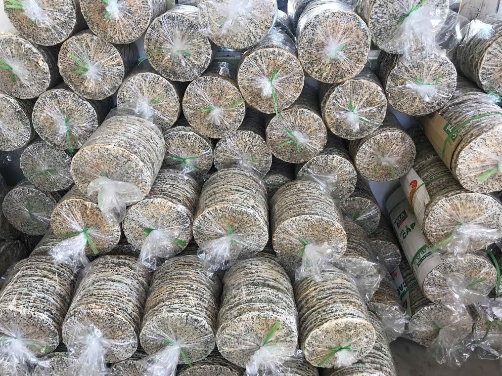 Những chiếc bánh sau khi phơi khô sẽ được quạt và đóng gói cẩn thận để chuyển tới người tiêu dùng. Ảnh: Mỹ Hà