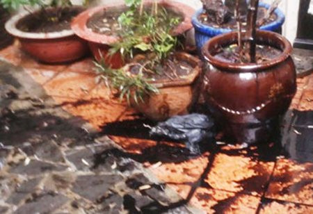 Quăng nhớt trộn mắm tôm bôi bẩn khuôn viên khách sạn.