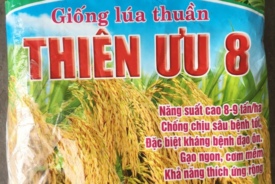 Thiên ưu 8 được quảng cáo là giống lúa thuần, chống chịu sâu bệnh tốt, đặc biệt kháng bệnh đạo ôn, tuy nhiên thực tế khảo nghiệm cho thấy kháng bệnh này rất yếu.