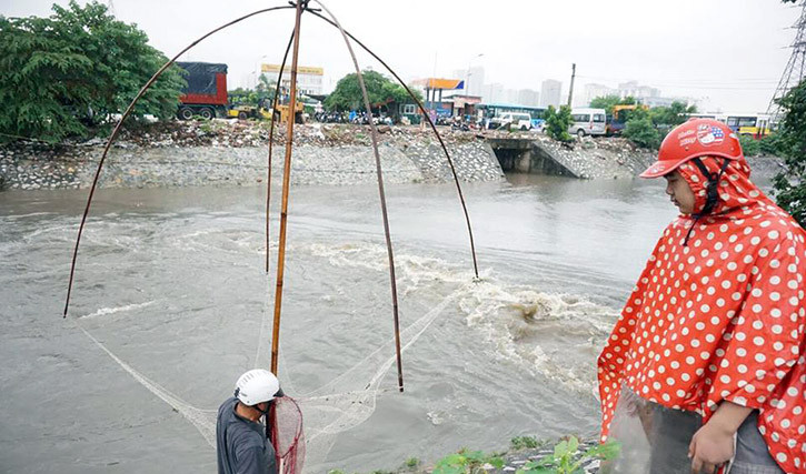 Anh: Mac mua lon, dan Ha Noi hi hung do ra song bat ca