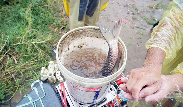 "Chiến lợi phẩm" có được của người đàn ông trong buổi sáng.