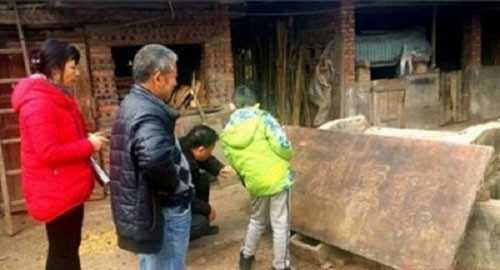 Nga ngua nong dan dung co vat tram nam lam... thot bam rau