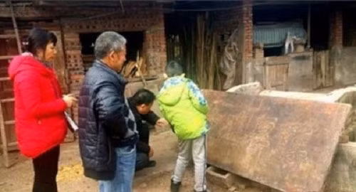 Nga ngua nong dan dung co vat tram nam lam... thot bam rau