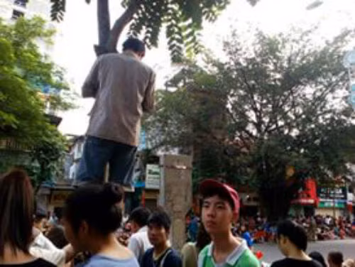 Một người đàn ông leo lên cây lát để xem đoàn diễu binh.