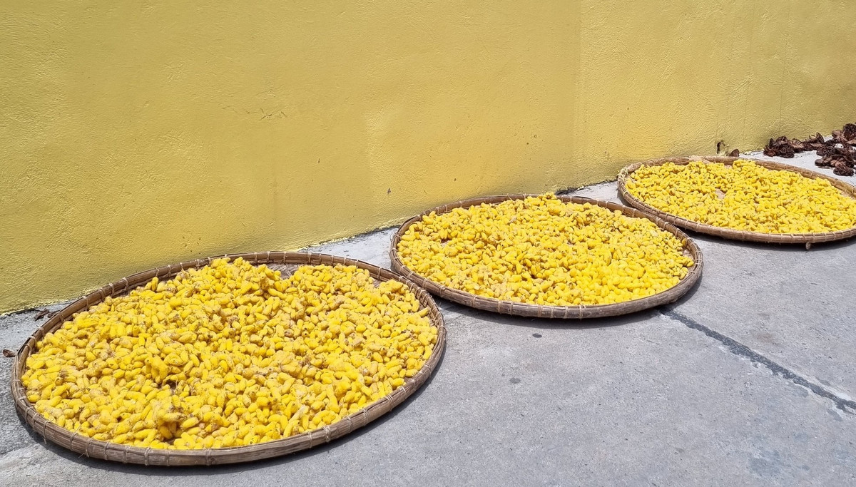 Nghe nhan Phan Thi Thuan: Luyen nhung “vi than” cuu nghe truyen thong-Hinh-2