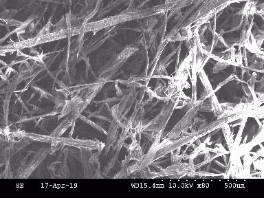 PGS.TS Le Thi Kim Phung: Che tao vat lieu aerogel sieu nhe tu... nhung thu bo di-Hinh-6