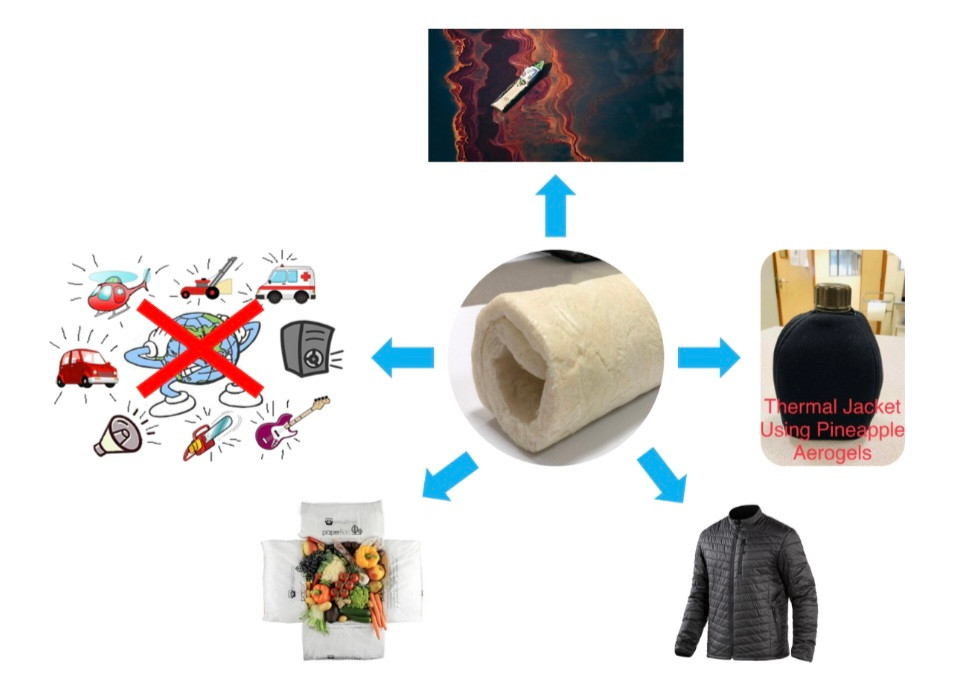 PGS.TS Le Thi Kim Phung: Che tao vat lieu aerogel sieu nhe tu... nhung thu bo di-Hinh-7