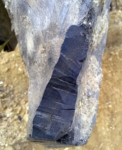 Gỗ âm trầm đã được coi là một loại gỗ quý từ xa xưa, một vật quý hiếm.