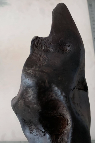 Gỗ âm trầm có nhiều màu khác nhau như nâu, xám, đen, xanh đen, tím… sau 1 thời gian dài, gỗ âm trầm bị cacbon hóa và trở thành màu sẫm đen như than.