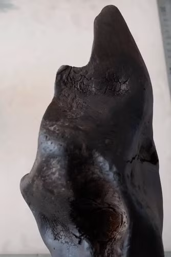 Gỗ âm trầm có nhiều màu khác nhau như nâu, xám, đen, xanh đen, tím… sau 1 thời gian dài, gỗ âm trầm bị cacbon hóa và trở thành màu sẫm đen như than.