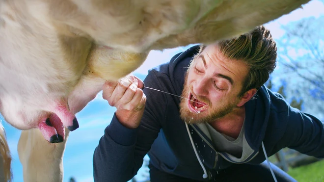 7. Chỉ con người mới có thói quen uống sữa của loài khác và tiếp tục uống sữa khi đã trưởng thành. Điều này không thấy ở bất kỳ loài động vật nào khác.