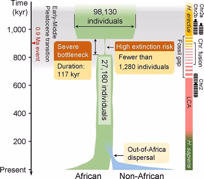 Tuy nhiên, một số nhà khoa học vẫn tỏ ra hoài nghi về kết quả nghiên cứu này, do thiếu bằng chứng rõ ràng về mối quan hệ nhân quả giữa biến đổi khí hậu và suy giảm dân số.