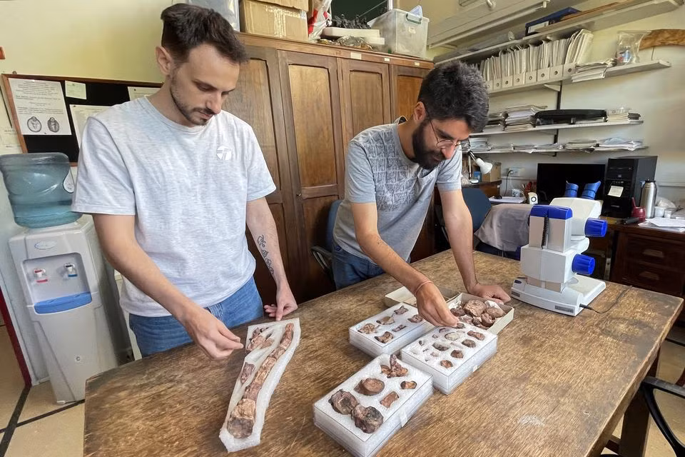 Nghiên cứu do TS Rodrigo Alvarez Nogueira dẫn đầu, gợi ý rằng nhánh khủng long này có các loài với thói quen vận động khác nhau, thể hiện qua sự khác biệt trong hình dạng hài cốt.