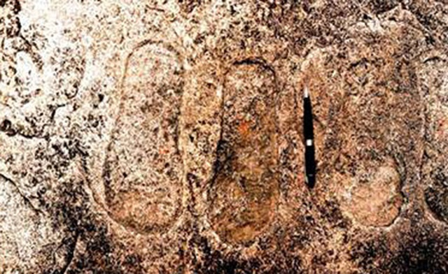 Năm 1986, tạp chí American Anthropologist đăng bài về một dấu chân 40 cm ở West Virginia, Mỹ, tương đương người cao 2,13 mét.