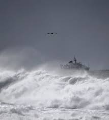 Chính phủ Cuba đã cam kết tiến hành điều tra để giải mã bí ẩn của tàu này và cảnh báo về tác động tiềm ẩn của những vụ mất tích tương tự đối với nền kinh tế.