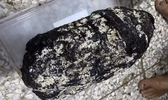 Sau khi vệ sinh, ông nhận thấy khối đá tỏa hương như nước hoa và tìm hiểu trên internet, phát hiện nó có thể là long diên hương, một " báu vật trời ban". Ông Li đã gửi mẫu vật đến Đại học Quốc gia Kaohsiung để kiểm tra và được xác nhận đó chính là long diên hương.