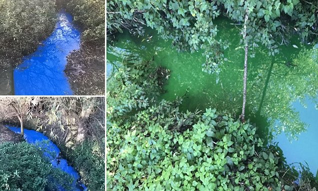 Anglian Water đang phối hợp điều tra nhưng chưa xác định được nguồn ô nhiễm. Tiến sĩ James Ebdon từ Đại học Brighton suy đoán rằng hiện tượng này có thể do thuốc nhuộm tổng hợp từ ngành công nghiệp dệt.