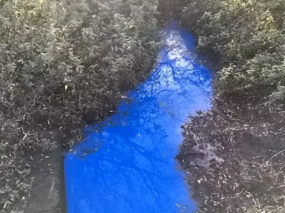 Natalia Maca, một người dân địa phương đã báo cáo với Cơ quan môi trường nhưng vẫn chưa nhận được câu trả lời chính xác về nguyên nhân.