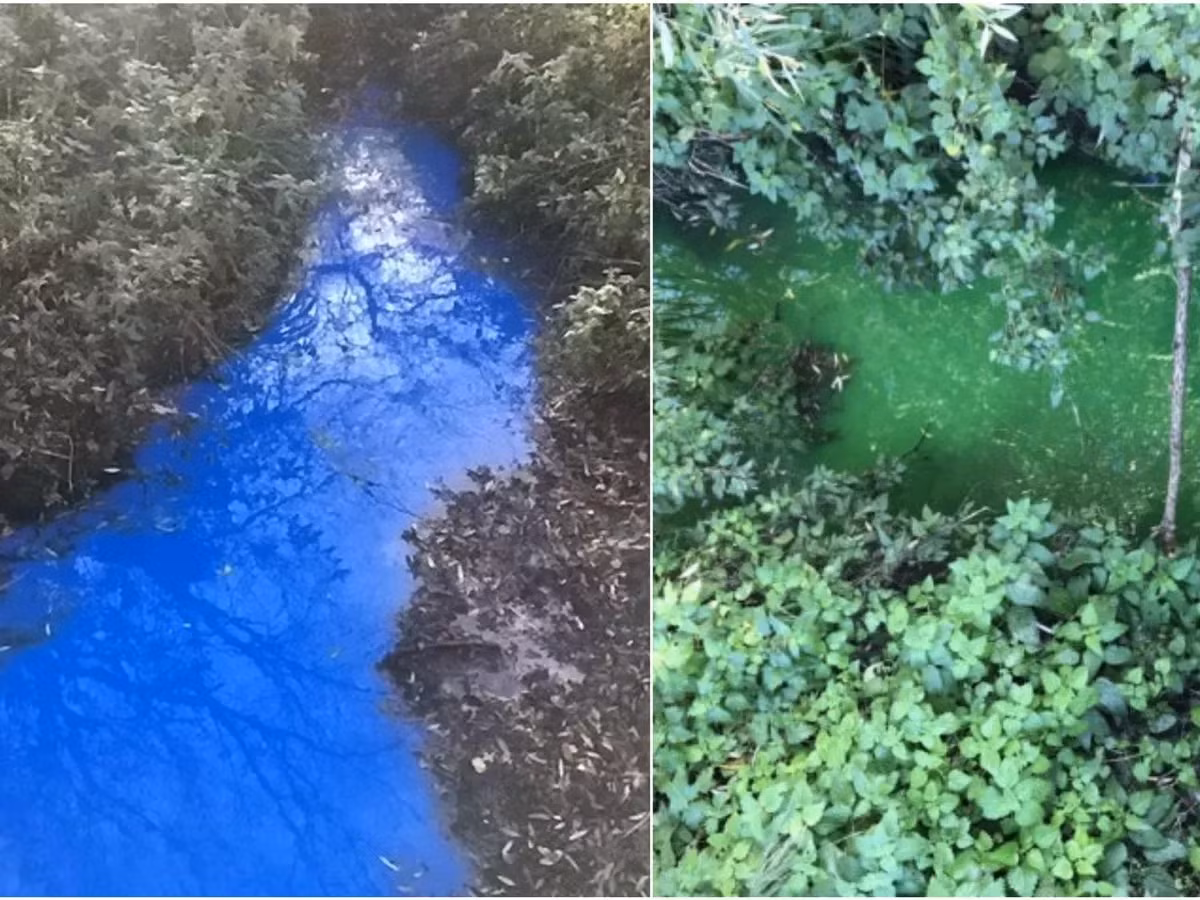 Trong khi chờ đợi câu trả lời từ các nhà khoa học và cơ quan chức năng, người dân Huntingdon vẫn tiếp tục sống cùng dòng sông kỳ lạ này, với hy vọng rằng một ngày không xa, bí ẩn của dòng sông Ouse sẽ được làm sáng tỏ.