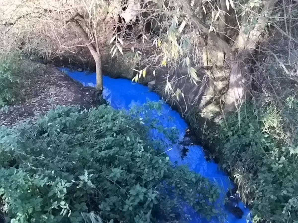 Hiện tượng này được cho là do một loại chất lỏng xà phòng, tuy nhiên đây vẫn là một giả thuyết.