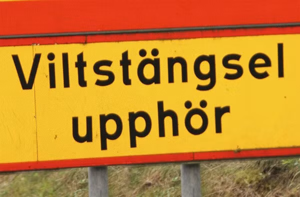 Dưới trạng thái thôi miên, cô khẳng định mình từng là một người đàn ông Thụy Điển và trả lời câu hỏi bằng tiếng Thụy Điển, mặc dù cô chỉ nghe vài từ trong một chương trình truyền hình.