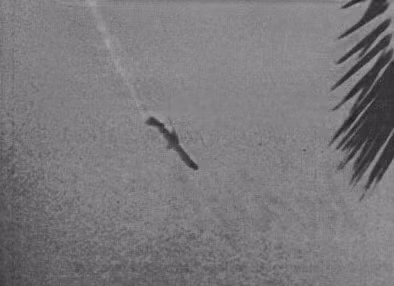 2. Ngày 31/8/1986: Va chạm giữa một máy bay tư nhân và Aeromexico DC-9 khiến 86 người thiệt mạng. FAA yêu cầu máy bay nhỏ sử dụng bộ tiếp sóng và các máy bay chở khách phải có hệ thống tránh va chạm TCAS II.