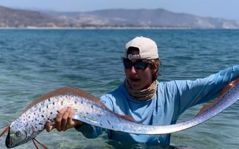 Dù không có nhiều thông tin về loại cá này do hiếm khi được quan sát, nhưng người ta cho biết thịt của chúng có cảm giác nhão và dính.