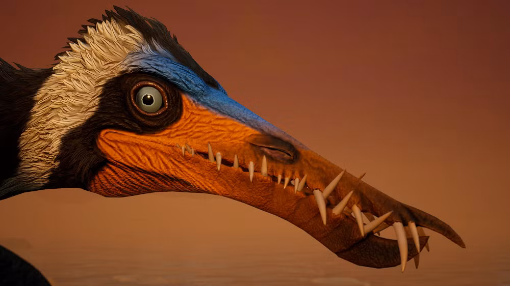 Hóa thạch của Rhamphorhynchus được tìm thấy ở Solnhofen, miền đông nam nước Đức, cho thấy chúng sống gần với tổ tiên của loài chim và một số loài khủng long khác.