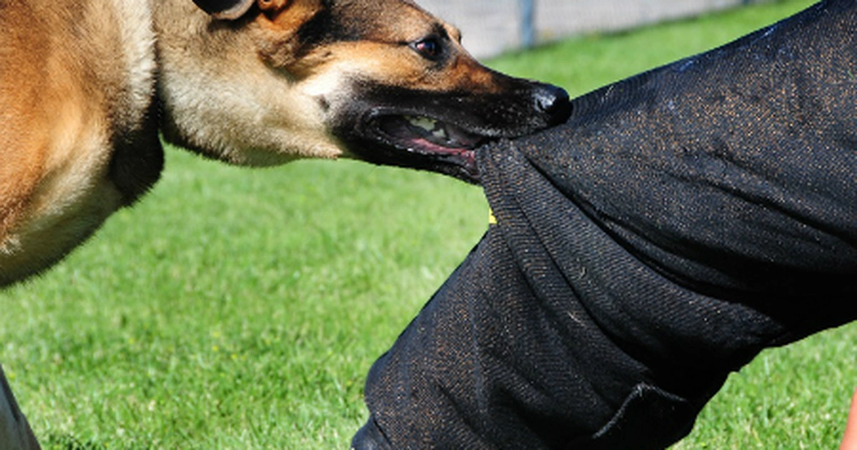 Sự tấn công đồng loạt của các loài côn trùng và vi khuẩn có thể tiêu diệt con người chỉ trong một ngày.