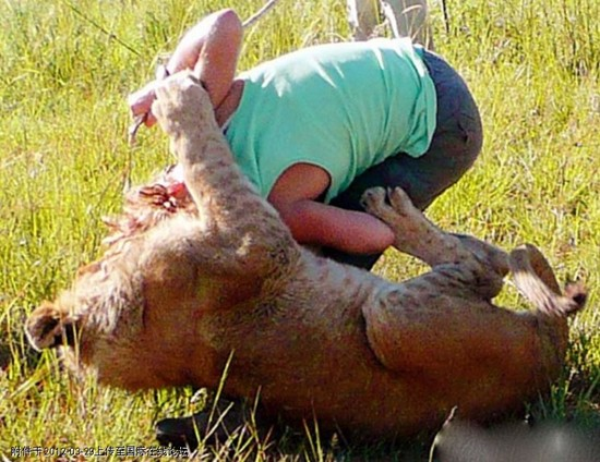 Như vậy, nếu tất cả các loài động vật trên Trái đất quay lưng phản kháng lại con người, cuộc chiến sẽ nhanh chóng kết thúc với sự tiêu diệt của con người và việc giành lại quyền thống trị của các loài động vật.