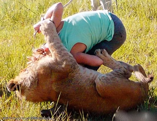 Như vậy, nếu tất cả các loài động vật trên Trái đất quay lưng phản kháng lại con người, cuộc chiến sẽ nhanh chóng kết thúc với sự tiêu diệt của con người và việc giành lại quyền thống trị của các loài động vật.