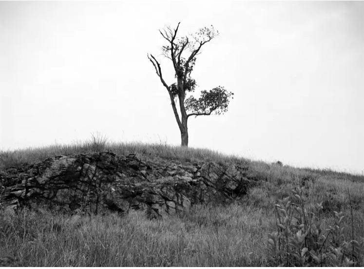 Nhiều người bị đưa ra xét xử và hành quyết tại ngọn đồi Gallows Hill.