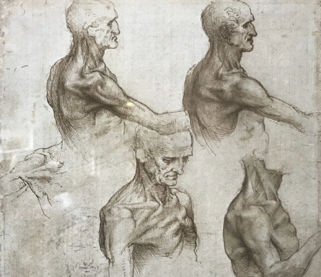 Đại danh họa người Ý Leonardo da Vinci (1452 – 1519) đã được thế giới công nhận là một thiên tài toàn năng trên nhiều lĩnh vực như kiến trúc, điêu khắc, y học, tự nhiên, nghiên cứu khoa học, hội họa… Ông không chỉ để lại những tác phẩm nghệ thuật vĩ đại như "Mona Lisa" và "Bữa ăn tối cuối cùng", mà còn có khoảng 6.000 trang bản thảo về những nghiên cứu sâu sắc trong nhiều lĩnh vực khác nhau.