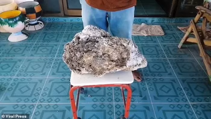 Surachet Chanchu tin rằng đó là long diên hương, mệnh danh " vàng nổi" ước tính khoảng 17 tỷ đồng.