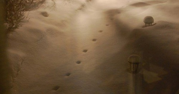 1. Dấu chân của quỷ: Năm 1855 ở Đông Devon, Anh, sau một trận tuyết rơi dày, những dấu chân bí ẩn xuất hiện trên tuyết, đi theo một hướng duy nhất và biến mất một cách đột ngột.