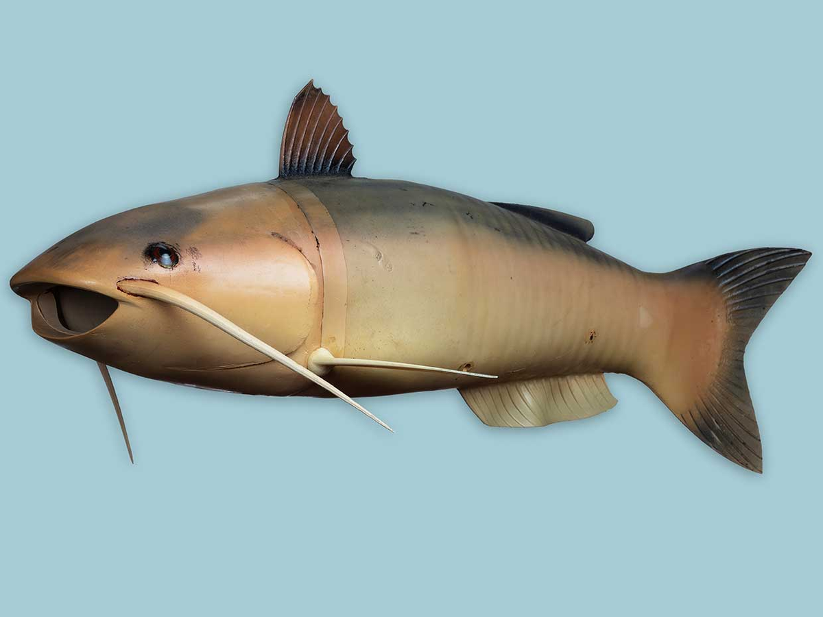 1. Charlie: Là một trong những công cụ gián điệp của CIA, Charlie là thiết bị không người lái dưới nước dùng để thu thập mẫu nước gần các cơ sở hóa học và hạt nhân, phát triển và sử dụng trong những năm 1970.