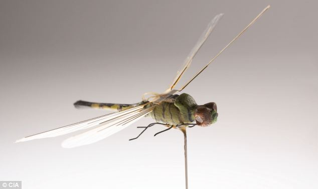 2. Rồng bay gián điệp: Một thiết bị bay kích thước côn trùng, micro UAV đầu tiên có thể hoạt động tự động, là tiền thân của các UAV hiện đại.
