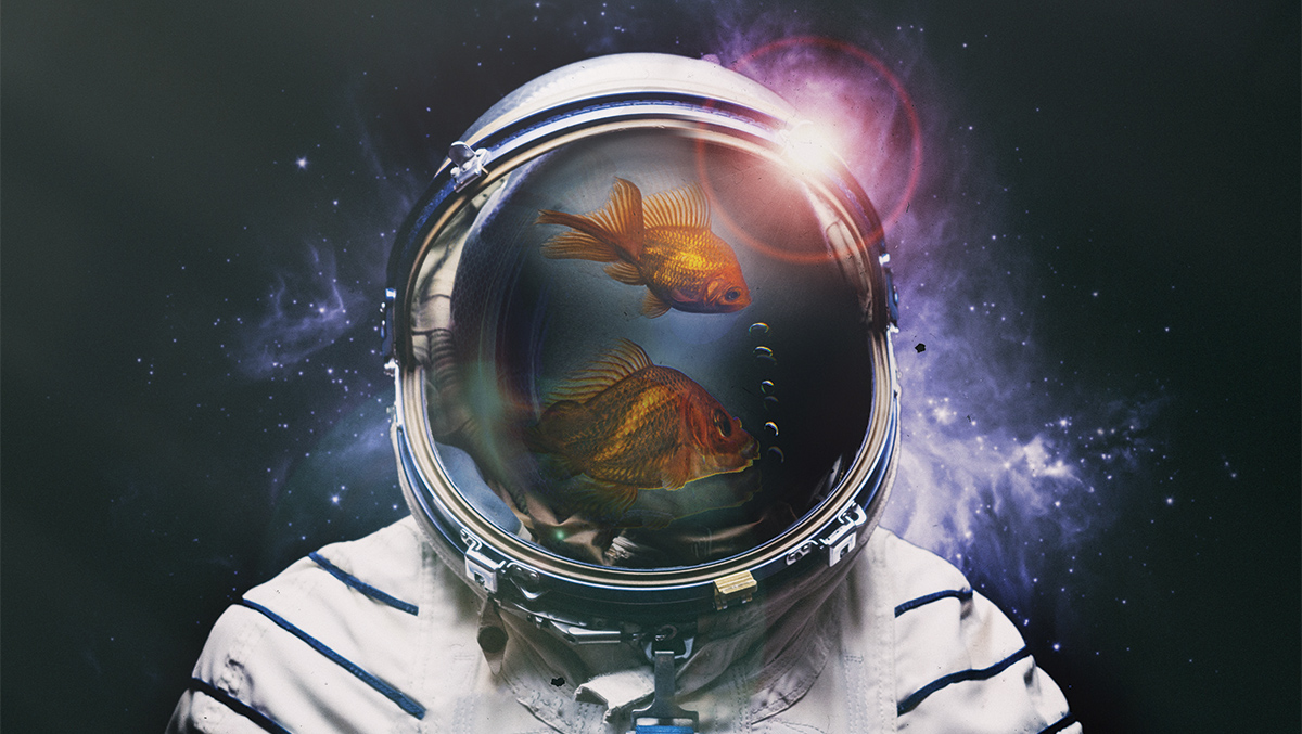 Điều này sẽ giúp tái chế tất cả các phân tử và bảo vệ môi trường.