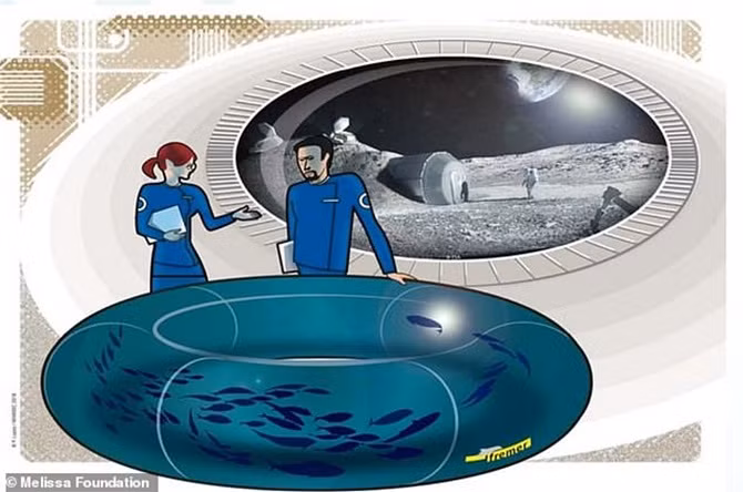 Dự án gửi 200 quả trứng cá trong một bể nước nhỏ lên vệ tinh của Trái đất để cá phát triển trong hệ thống khép kín sử dụng nước trên Mặt trăng.