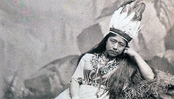 Tuy nhiên, có những giả thuyết cho rằng những dấu vết này có thể là do nhầm lẫn với các hóa thạch xương thú lớn.