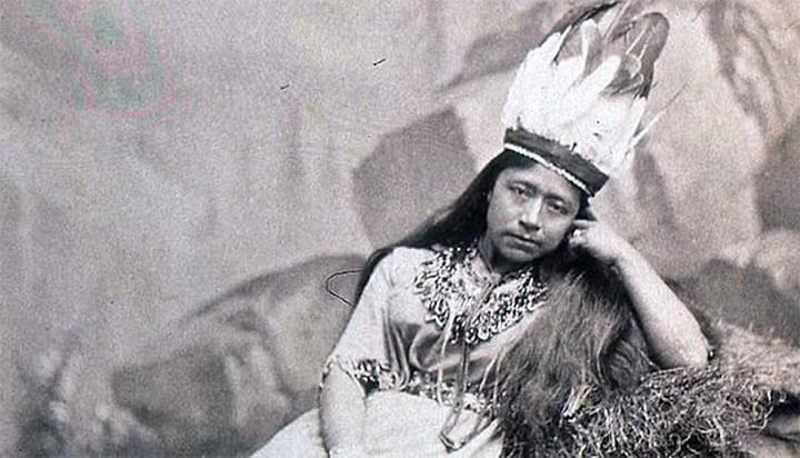 Tuy nhiên, có những giả thuyết cho rằng những dấu vết này có thể là do nhầm lẫn với các hóa thạch xương thú lớn.