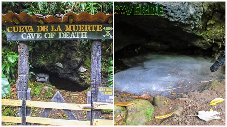 Hiện tượng khí CO2 rò rỉ qua các vết nứt trên lớp vỏ Trái đất có thể liên quan đến đứt gãy San Miguel và hoạt động của núi lửa gần đó.