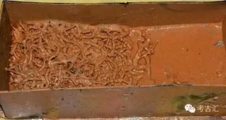 Khi mở hộp, họ kinh ngạc phát hiện bên trong chứa nhiều bọ vàng kinh dị, lẫn chất bẩn rợn người.