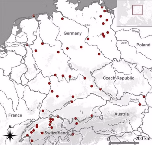 Kiểu chôn cất này nhằm ngăn chặn người chết biến thành Zombie hoặc ma cà rồng, một phong tục kỳ quái bắt đầu từ năm 1347 sau Công Nguyên, khi dịch hạch bùng phát ở châu Âu. Mọi người tin rằng người chết vì dịch hạch có thể sống dậy từ cõi chết, và việc chôn cất trong tư thế úp sấp là biện pháp phòng tránh.