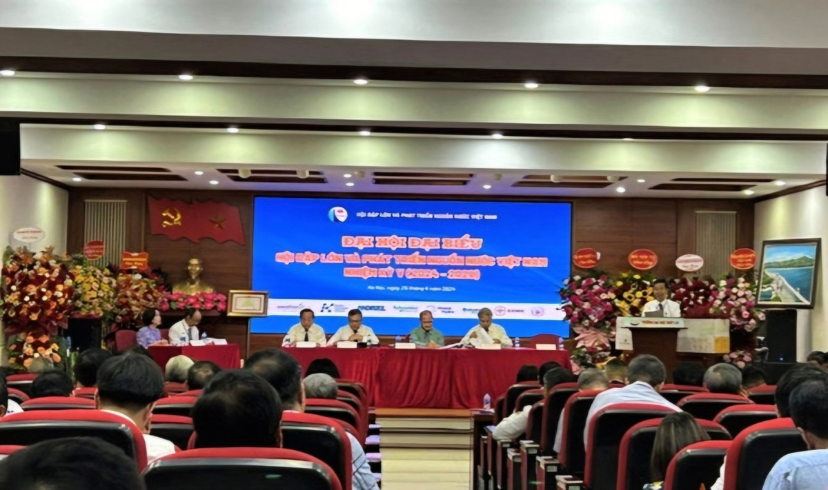 Chủ tịch VUSTA Phan Xuân Dũng chúc mừng VNCOLD nhân kỷ niệm 20 năm thành lập Chu tich VUSTA Phan Xuan Dung chuc mung VNCOLD nhan ky niem 20 nam thanh lap